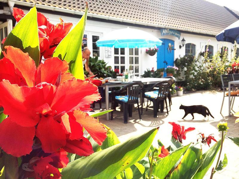 Myrehoj Bed & Breakfast Eskebjerg Exteriör bild
